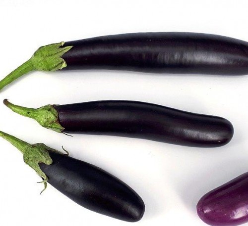 Eggplant Aubergine Long-Pop 
